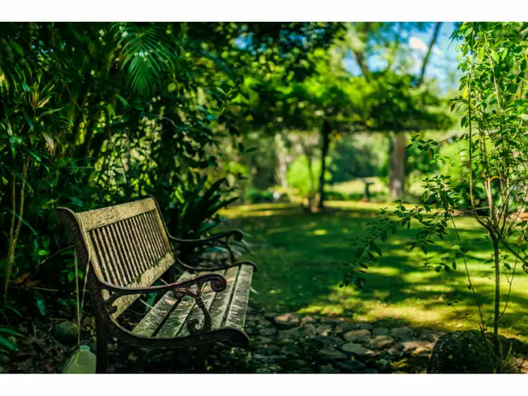 Seventh view of Homely rural property listing, 664 Timboon Road, Bellingen NSW 2454