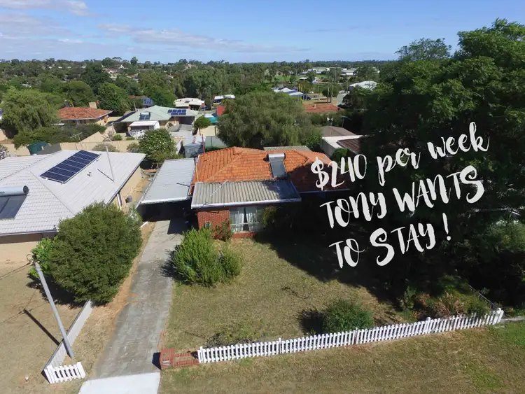 Main view of Homely house listing, 29 Cockman Way, Orelia WA 6167