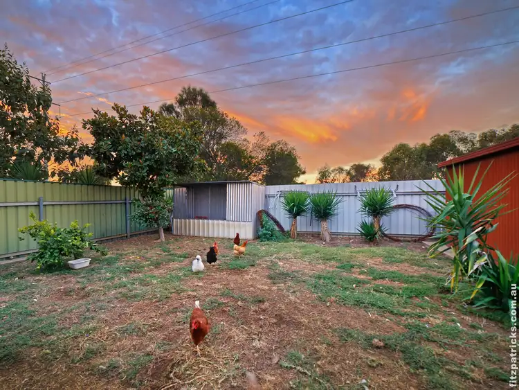 Fourth view of Homely house listing, 61 Maher Street, Tolland NSW 2650