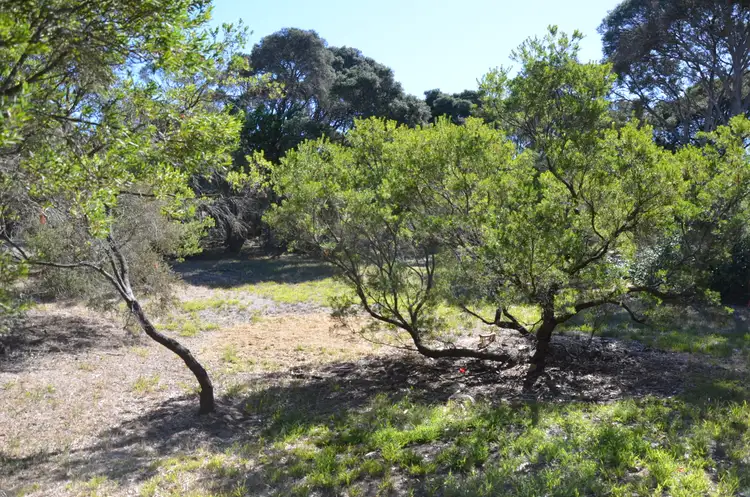 Sixth view of Homely land listing, 185 Melbourne Road, Rye VIC 3941