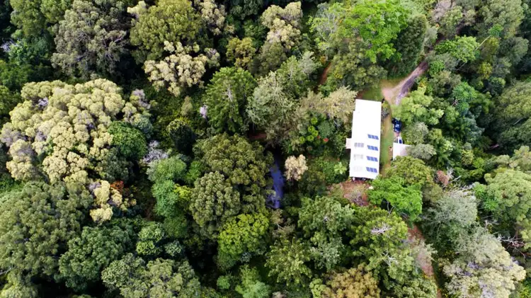 165 Ripps Road, Stokers Siding NSW 2484