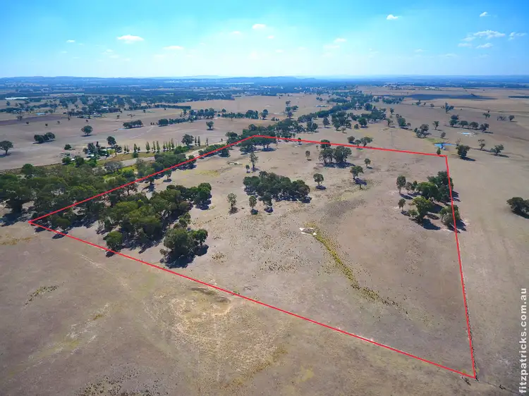 Third view of Homely land listing, LOT 113, "Spring Valley" Ivydale Road, Gregadoo NSW 2650