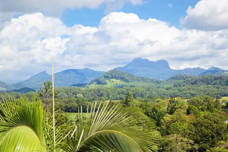 Third view of Homely rural property listing, 1262 Urliup Road, Murwillumbah NSW 2484