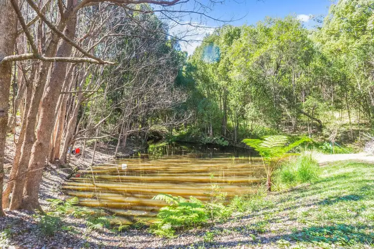 Seventh view of Homely rural property listing, 6 Toon Close, Uki NSW 2484
