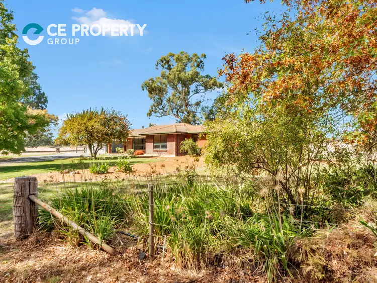 Third view of Homely house listing, 652 Forreston Road, Forreston SA 5233