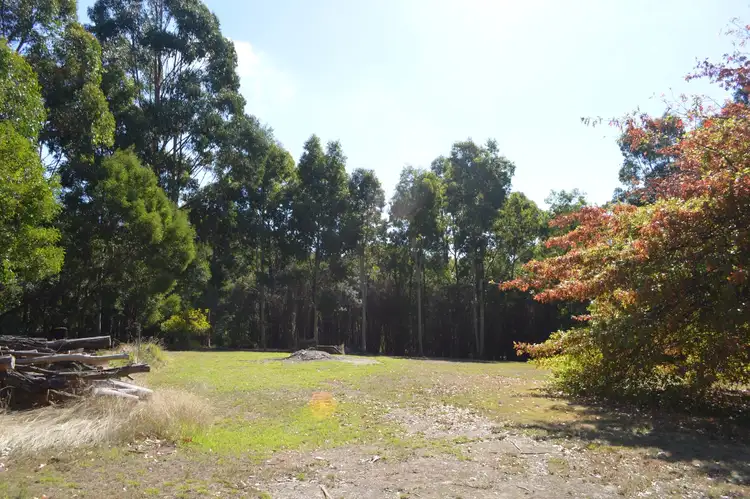 Second view of Homely rural property listing, 80 Bull Hill Road, Kawarren VIC 3249