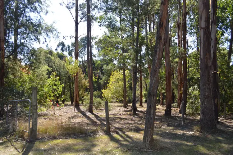 Third view of Homely rural property listing, 80 Bull Hill Road, Kawarren VIC 3249