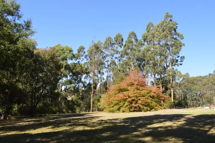 Fourth view of Homely rural property listing, 80 Bull Hill Road, Kawarren VIC 3249