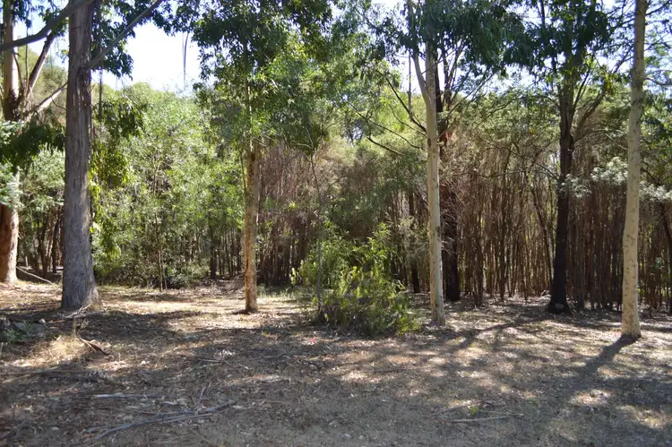 Fifth view of Homely rural property listing, 80 Bull Hill Road, Kawarren VIC 3249