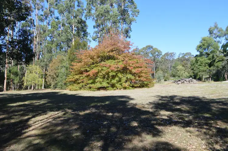 Seventh view of Homely rural property listing, 80 Bull Hill Road, Kawarren VIC 3249