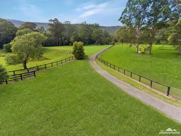 Third view of Homely house listing, 812 Ourimbah Creek Road, Palm Grove NSW 2258