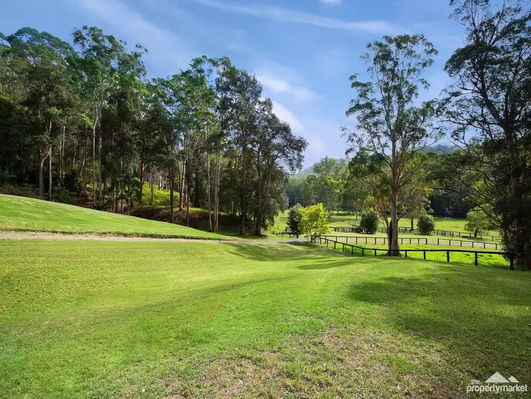 Fourth view of Homely house listing, 812 Ourimbah Creek Road, Palm Grove NSW 2258