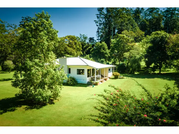 2240 Darkwood Road, Bellingen NSW 2454