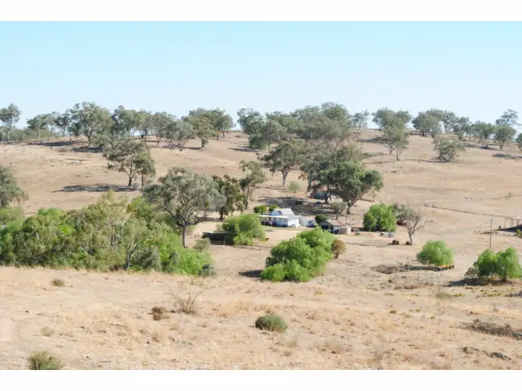 Main view of Homely rural property listing, 86 Trickett Street, Stuart Town NSW 2820