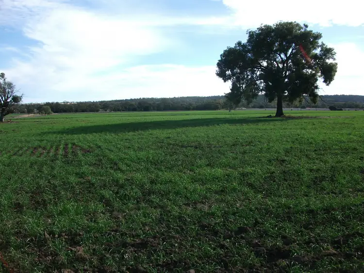 Sixth view of Homely rural property listing, 5020 North Star Road, Goondiwindi QLD 4390