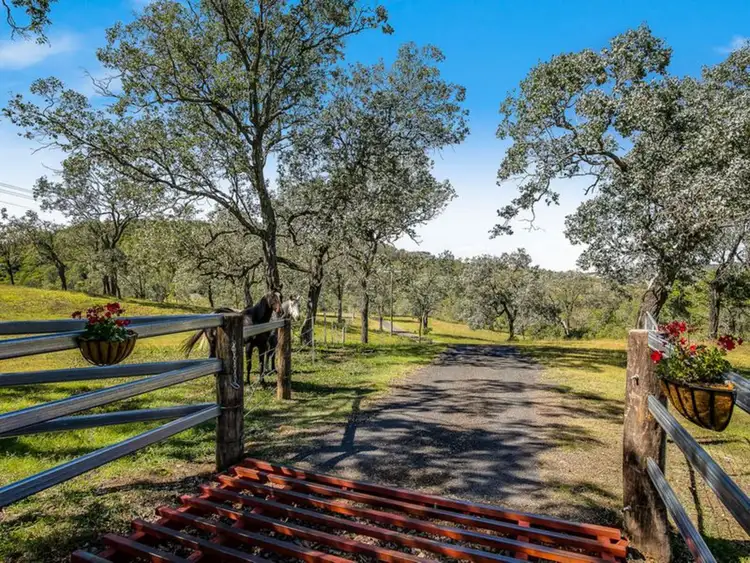 Fifth view of Homely house listing, 141 Carroll Road, Hodgson Vale QLD 4352