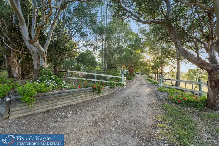 Fifth view of Homely house listing, 519 Towridgee Lane, Toothdale NSW 2550