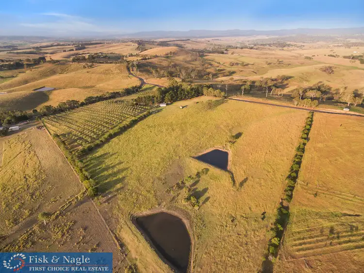 Sixth view of Homely house listing, 519 Towridgee Lane, Toothdale NSW 2550