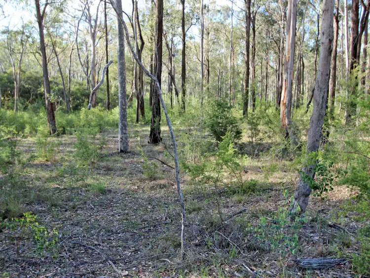 Sixth view of Homely land listing, 67 Dunlop Drive, Paxton NSW 2325