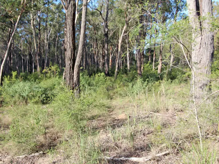 Seventh view of Homely land listing, 67 Dunlop Drive, Paxton NSW 2325