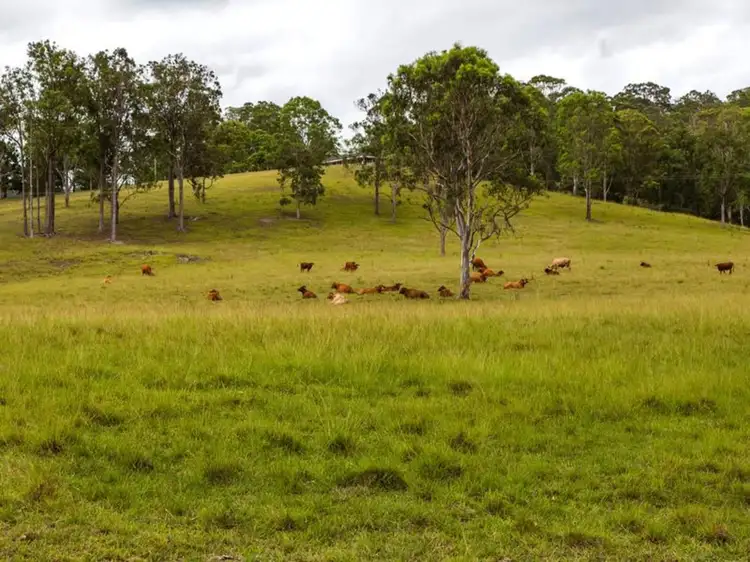 Fourth view of Homely house listing, 49 Fleetwood Road, Belli Park QLD 4562