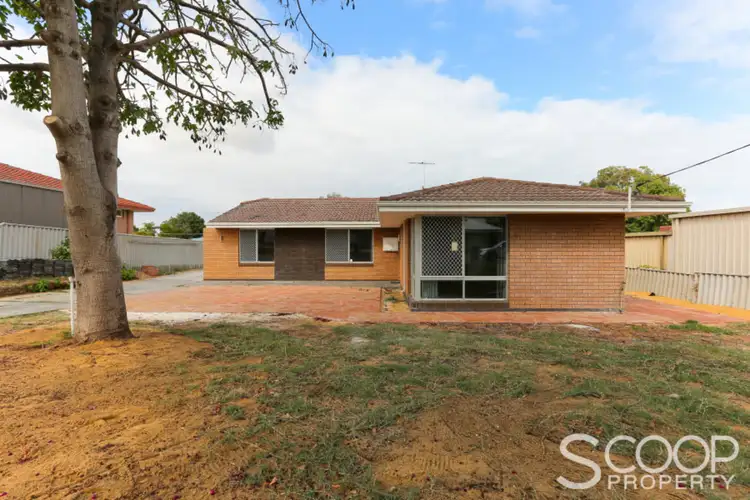 Main view of Homely house listing, 105 Winfield Street, Hamilton Hill WA 6163