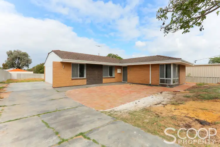 Second view of Homely house listing, 105 Winfield Street, Hamilton Hill WA 6163