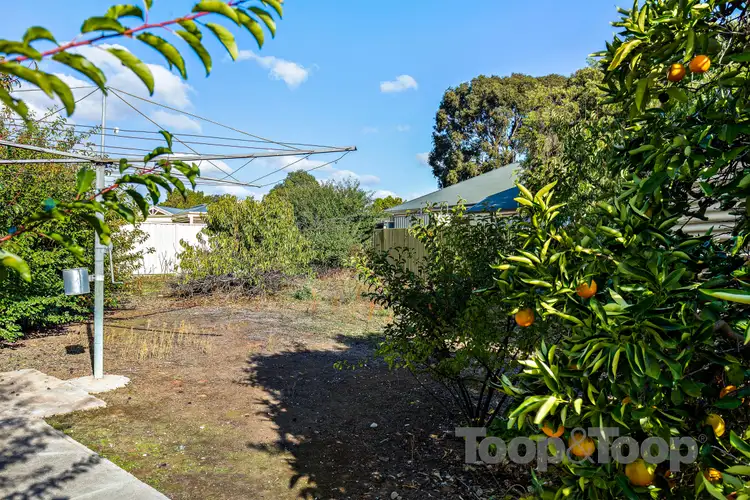 Fourth view of Homely house listing, 67 Tenth Avenue, Royston Park SA 5070