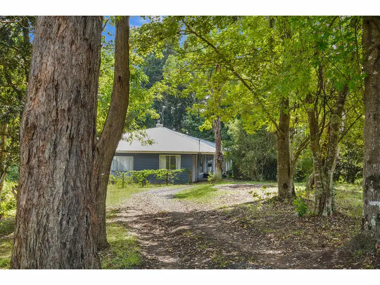 Fourth view of Homely house listing, 143 Curramore Road, Witta QLD 4552