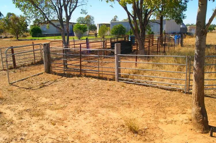 Sixth view of Homely rural property listing, 2444 Kelvin Road, Kelvin NSW 2380
