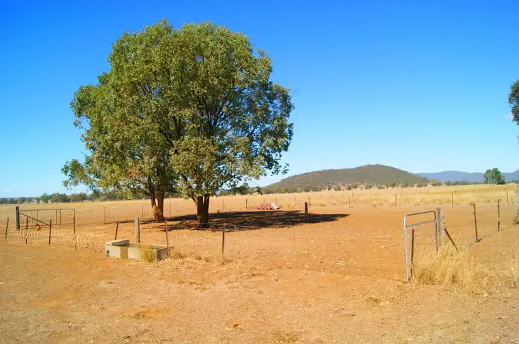 Seventh view of Homely rural property listing, 2444 Kelvin Road, Kelvin NSW 2380