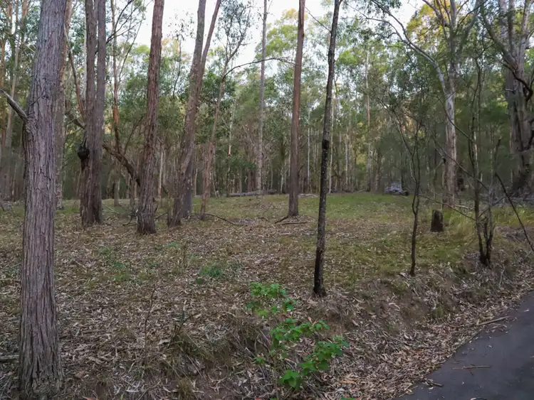 Sixth view of Homely rural property listing, 403A Wallaby Gully Road, Ellalong NSW 2325