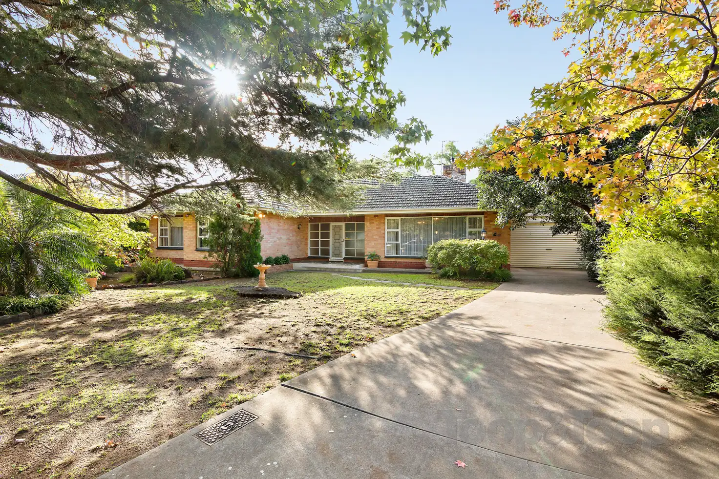 Main view of Homely house listing, 10 Lochness Avenue, Torrens Park SA 5062