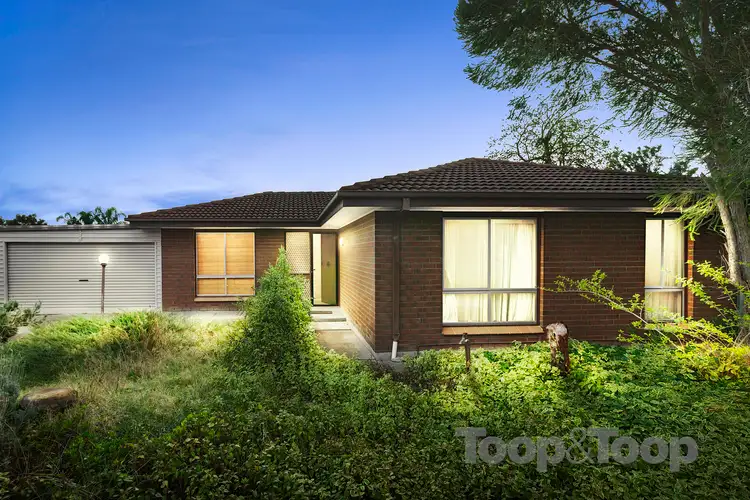 6 Palomino Parade, Wynn Vale SA 5127