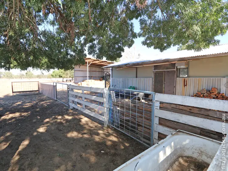 Seventh view of Homely rural property listing, 3845 Sturt Highway, Gumly Gumly NSW 2652