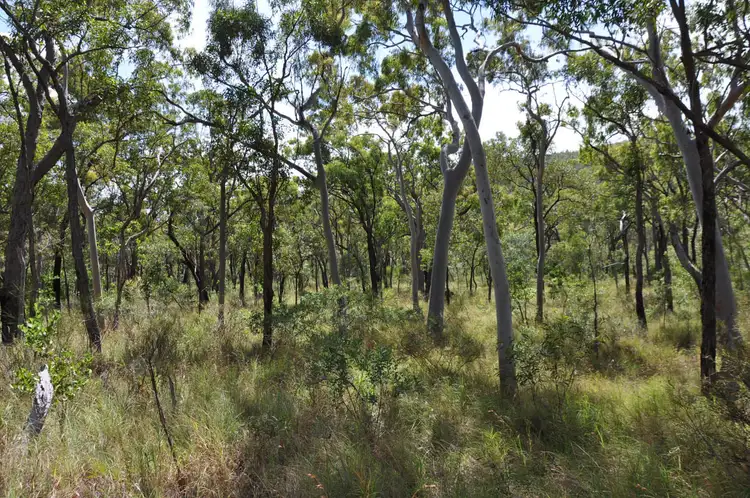 Sixth view of Homely land listing, LOT 43 Oaky Valley Avenue, Mareeba QLD 4880