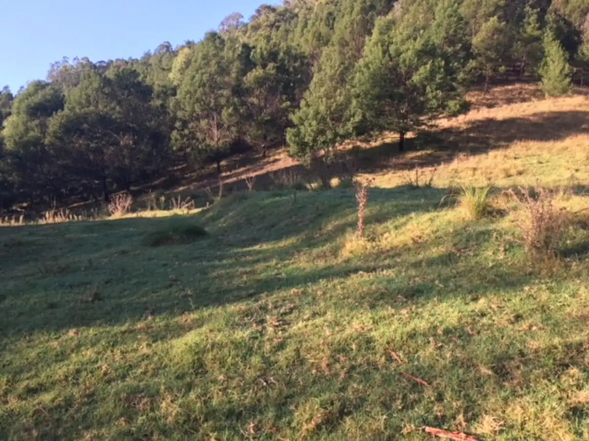 Main view of Homely land listing, LOT 34-51 Hardy Street, Cobargo NSW 2550