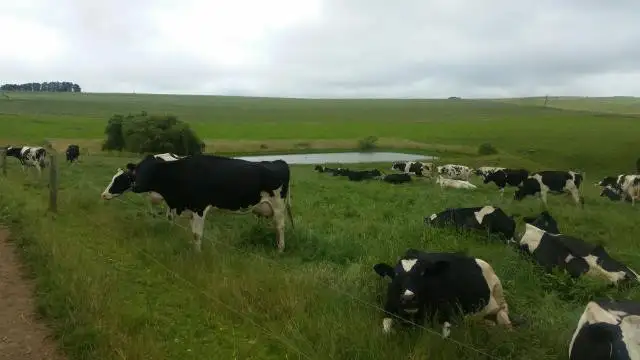 Main view of Homely rural property listing, 2 Guys Road, Cooriemungle VIC 3268