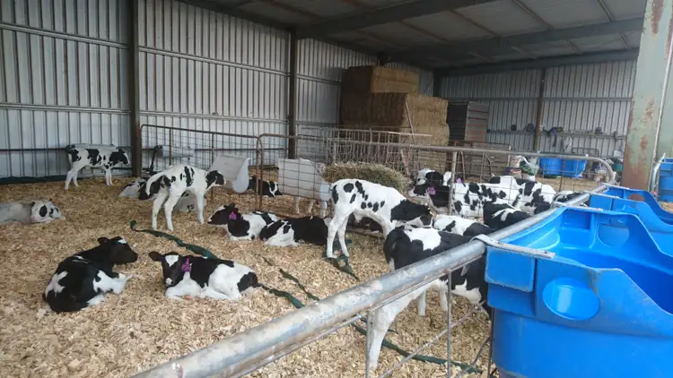 Fourth view of Homely rural property listing, 2 Guys Road, Cooriemungle VIC 3268