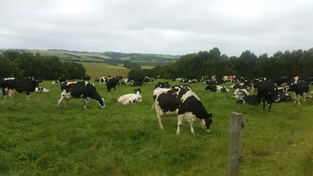 Sixth view of Homely rural property listing, 2 Guys Road, Cooriemungle VIC 3268