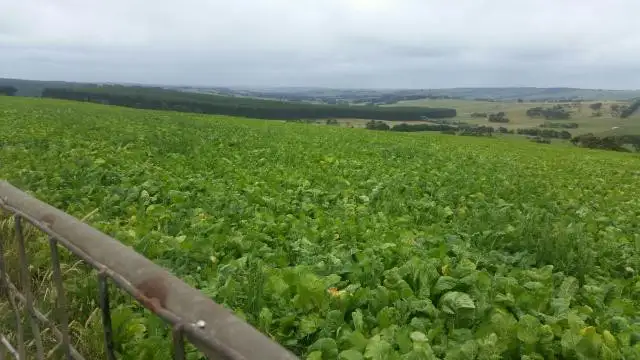 Seventh view of Homely rural property listing, 2 Guys Road, Cooriemungle VIC 3268