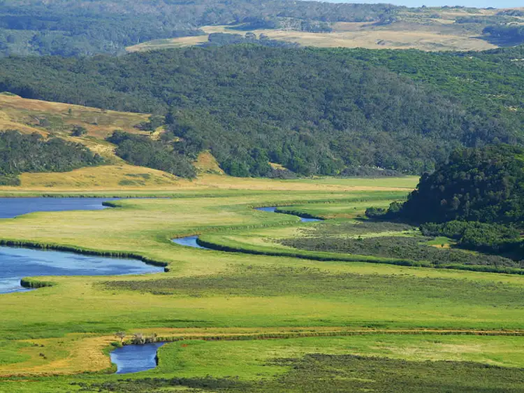 Second view of Homely rural property listing, 3080 Great Ocean Road, Glenaire VIC 3238