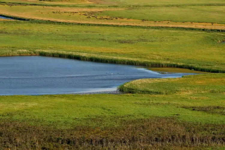 Fifth view of Homely rural property listing, 3080 Great Ocean Road, Glenaire VIC 3238