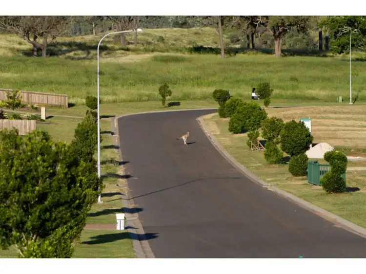 Main view of Homely land listing, 198 Angela Road, Rockyview QLD 4701