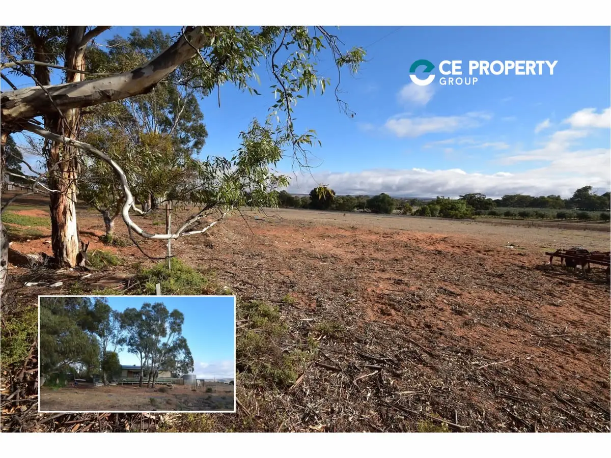 Main view of Homely rural property listing, 997 Monkey Corner Road, Cambrai SA 5353