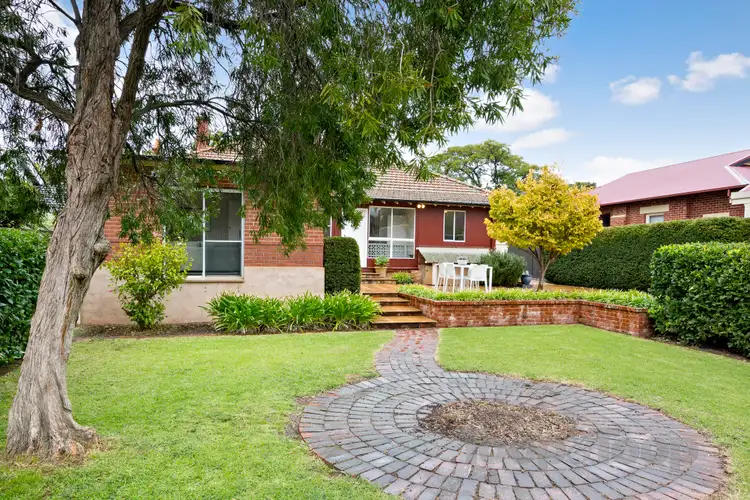 Sixth view of Homely house listing, 141 Swaine Avenue, Toorak Gardens SA 5065