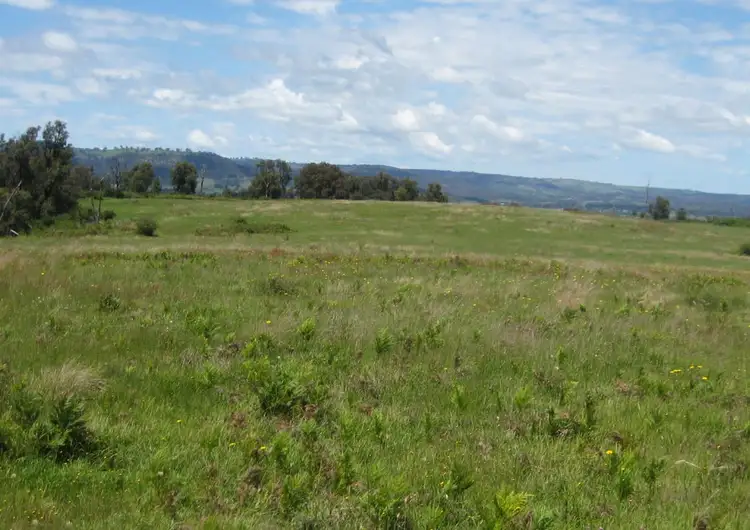 Fifth view of Homely rural property listing, 304 Cotter Lane, Mudgee NSW 2850