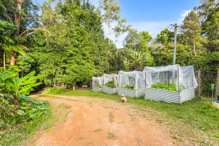 Fifth view of Homely rural property listing, 26 Chevell Place, Uki NSW 2484