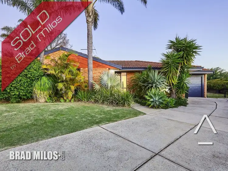 Main view of Homely house listing, 14 Begonia Close, Yangebup WA 6164