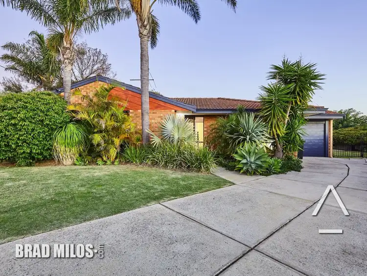 Second view of Homely house listing, 14 Begonia Close, Yangebup WA 6164